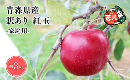 【レビューキャンペーン】１０月発送　訳あり　家庭用　甚八りんご紅玉３kg[hi-0058-001]
