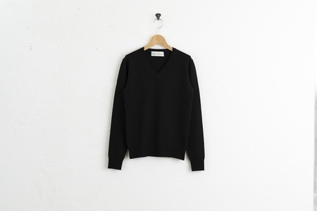 カシミヤ Vネック ニット度詰 カシミヤ(コゲチャ )男性用サイズ:LL(46)≪白田のカシミヤ≫