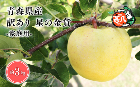 【レビューキャンペーン】１１月発送　訳あり　家庭用　甚八りんご星の金貨３kg[hi-0058-004]