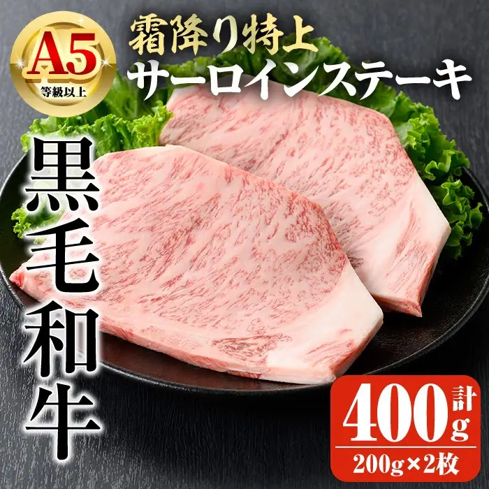 鹿児島県産 A5等級以上 黒毛和牛 霜降り 特上 サーロイン ステーキ 計400g(200g×2枚) 牛【ビーフ倉薗】B172