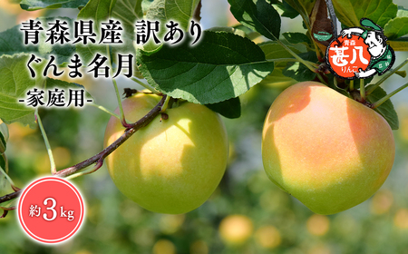 【レビューキャンペーン】１１月発送　訳あり　家庭用　甚八りんごぐんま名月３kg　【マルジンサンアップル】[hi-0058-013]