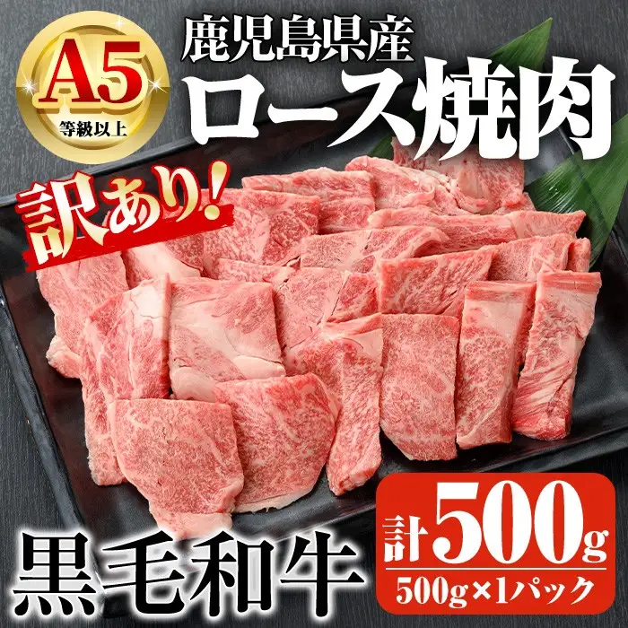 鹿児島県産 A5 等級以上 黒毛和牛 ロース 不揃い 切り落とし 焼肉 計500g(500g×1パック)【ビーフ倉薗】A521-v01