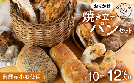市東製作所 パンおまかせセット(10-12個程度) 冷凍パン[Q2497]