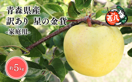 １１月発送 訳あり 家庭用 甚八りんご星の金貨5kg【青森県 平川市 マルジンサンアップル】[hi-0058-005]