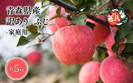 【レビューキャンペーン】５～７月発送　訳あり　家庭用　甚八りんごふじ5kg　【マルジンサンアップル　5月　6月　7月　青森県産　平川市　りんご　ふじ　5kg　訳あり　家庭用】[hi-0058-008]