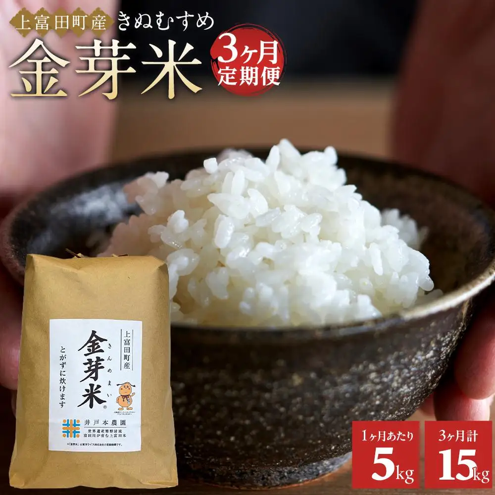【 定期便 】令和7年産  上富田町産 金芽米 きぬむすめ 5kg × 3か月 井戸本農園
