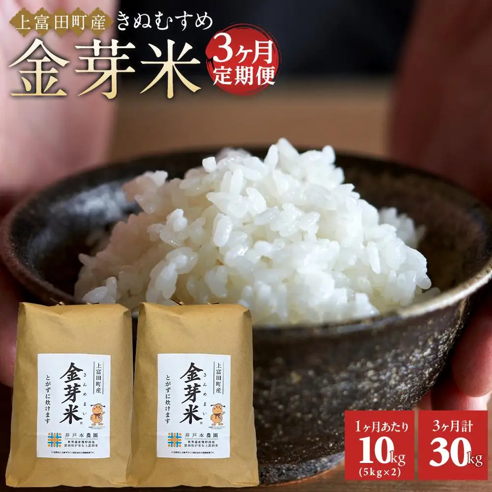 【 定期便 】 令和7年産   上富田町産 金芽米 きぬむすめ 10kg × 3か月 井戸本農園