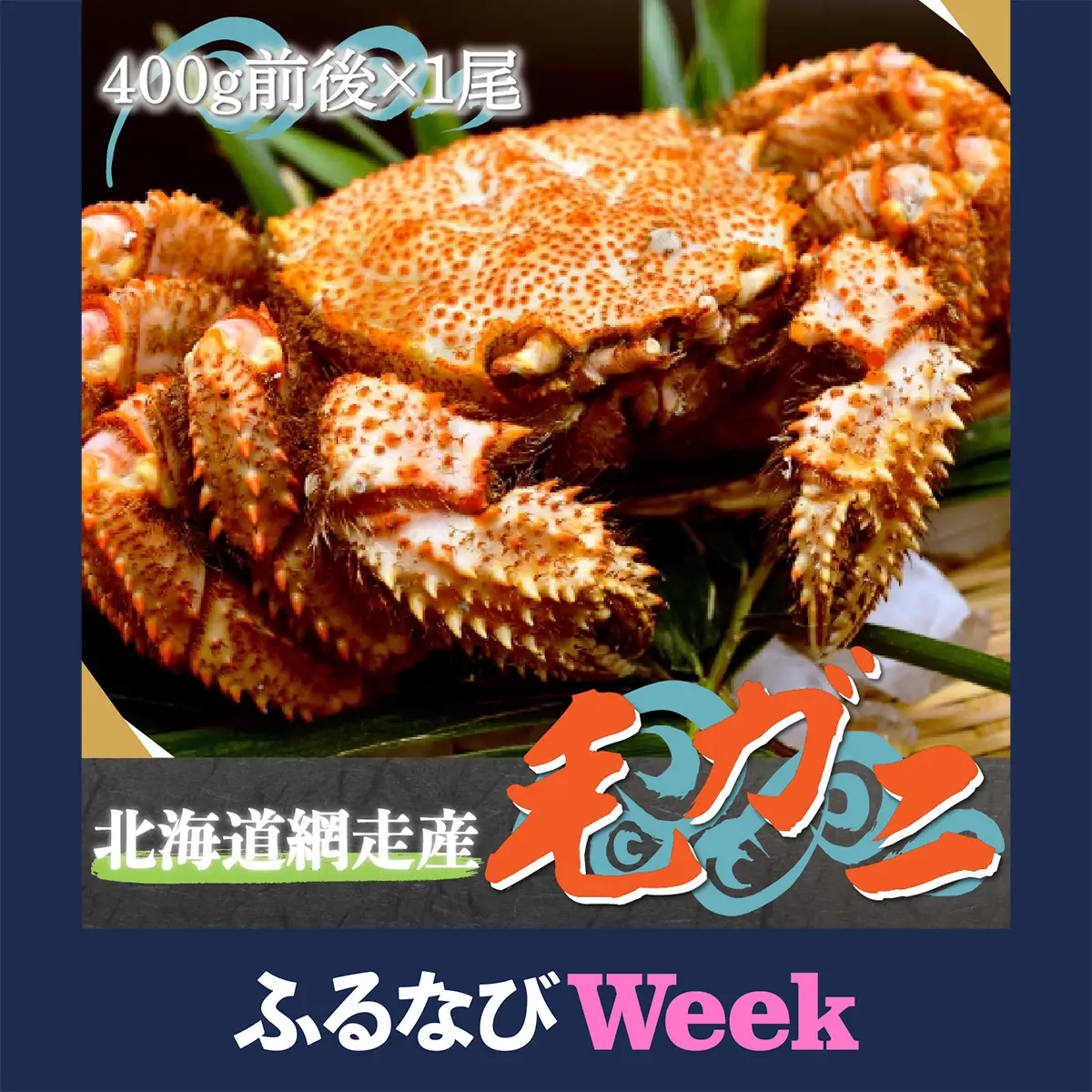 【ふるなびWEEK対象】北海道網走産毛ガニ（400g前後×1尾） ABE081 | 毛がに 