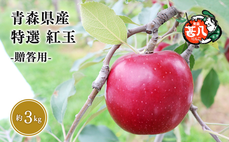 【レビューキャンペーン】１０月発送　特選　甚八りんご紅玉３kg　【マルジンサンアップル】[hi-0058-043]