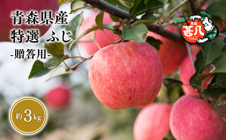 【レビューキャンペーン】５～７月発送　特選　甚八りんごふじ３kg　【マルジンサンアップル　5月　6月　7月　青森県産　平川市　りんご　ふじ　3kg　特選　贈答用】[hi-0058-049]