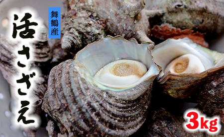 活 さざえ 3kg