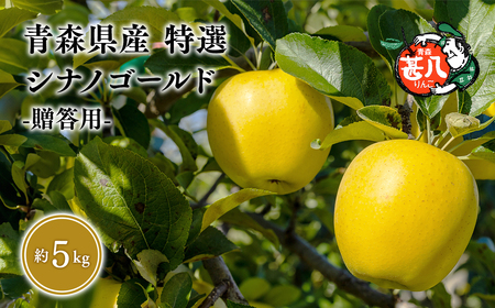 【レビューキャンペーン】６月発送　特選　甚八りんごシナノゴールド５kg　【マルジンサンアップル　6月　青森県産　平川市　りんご　シナノゴールド　5kg　特選　贈答用】[hi-0058-062]