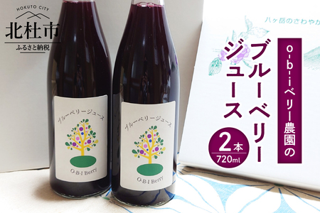 O-B-Iベリー農園のブルーベリージュース　720ml×2本 ブルーベリージュース 果汁飲料 ハイブッシュ ラビットアイ ブレンド 完熟 果物 ジュース 数量限定 ギフト 贈り物 山梨県 北杜市産 [h185]