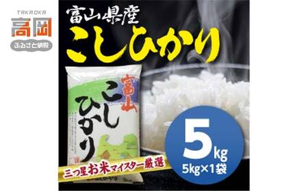 富山県産コシヒカリ 5kg 高岡市 米 精米 FAD-1793