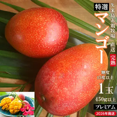 マンゴー【2026年発送】久米島赤鶏牧場 直送！糖度15度以上「プレミアム」完熟マンゴー 1玉（450g以上）アーウィン 