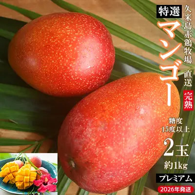 マンゴー 【2026年発送】久米島赤鶏牧場 直送！糖度15度以上「プレミアム」完熟マンゴー 2玉（約1kg）アーウィン