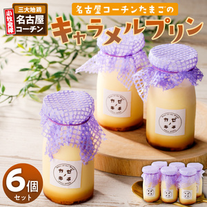 名古屋コーチンたまごのキャラメルプリン　6個セット[075K11]キャラメルプリン プリンセット コーチンプリン 卵プリン 濃厚プリン