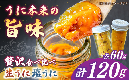 【お中元】【先行予約】生うに 一汐うに セット【2026年6月以降順次発送】 [JAQ024] うに