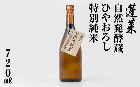 先行予約 蓬莱自然発酵蔵 ひやおろし特別純米 [S870] [ 渡辺酒造店 ]