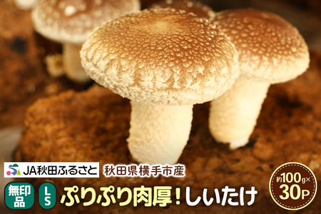 しいたけ 無印品 LS（約100g）×30パック