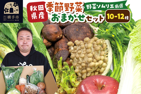 和泉青果六代目が選ぶ 秋田の季節野菜おまかせセット 10～12品目