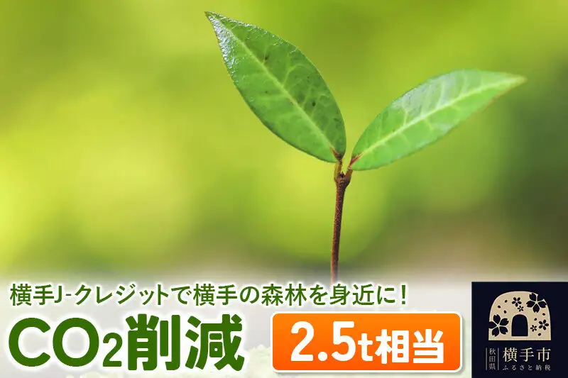 横手J‐クレジットで横手の森林を身近に! CO2削減 2.5t相当