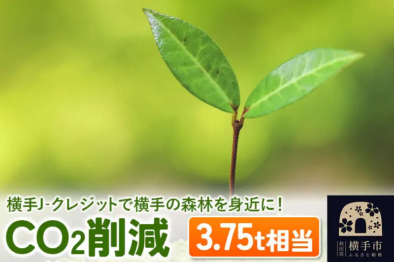 横手J‐クレジットで横手の森林を身近に! CO2削減 3.75t相当