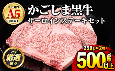 【30963】鹿児島県産黒毛和牛！A5等級サーロインステーキ(計500g・約250g×2枚) 国産 牛肉 肉 冷凍 サーロイン 鹿児島 ステーキ 焼肉 BBQ バーベキュー 【前田畜産たかしや】