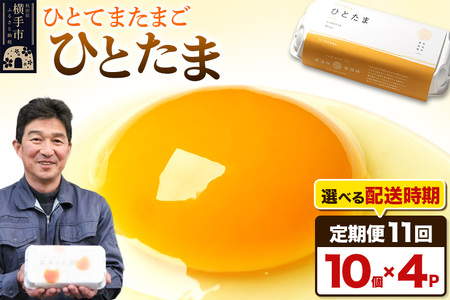 【常温発送】《定期便11ヶ月》ひとたま 10個×4P【発送時期が選べる】東海林養鶏場 ひとたま 卵 玉子 たまご タマゴ11か月 11ヵ月 11カ月 11ケ月 卵 玉子 たまご 開始時期選べる