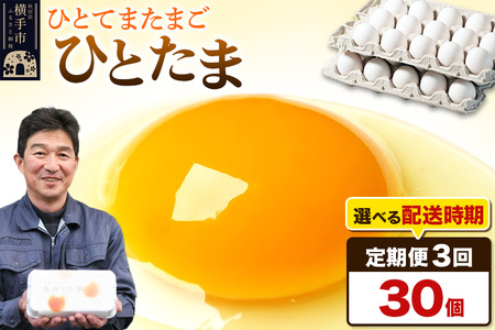 【常温発送】《定期便3ヶ月》ひとたま 30個（業務用）【発送時期が選べる】東海林養鶏場 ひとたま 卵 玉子 たまご タマゴ 3か月 3ヵ月 3カ月 3ケ月 開始時期選べる