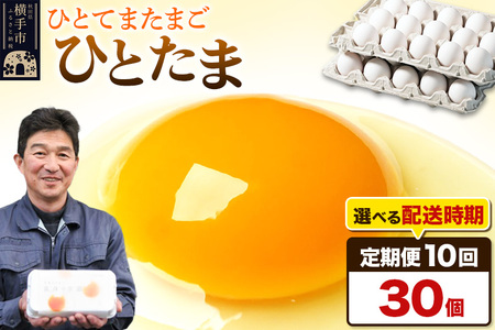 【常温発送】《定期便10ヶ月》ひとたま 30個（業務用）【発送時期が選べる】東海林養鶏場 ひとたま 卵 玉子 たまご タマゴ 10か月 10ヵ月 10カ月 10ケ月 開始時期選べる