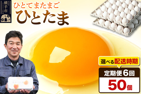 【常温発送】《定期便6ヶ月》ひとたま 50個（業務用）【発送時期が選べる】東海林養鶏場 ひとたま 卵 玉子 たまご タマゴ 6か月 6ヵ月 6カ月 6ケ月 開始時期選べる