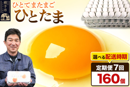 【常温発送】《定期便7ヶ月》ひとたま 160個（業務用）【発送時期が選べる】東海林養鶏場 ひとたま 卵 玉子 たまご タマゴ 7か月 7ヵ月 7カ月 7ケ月 開始時期選べる