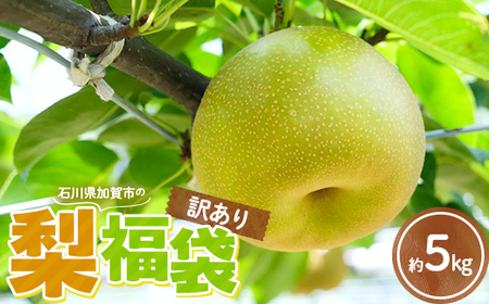 2026年予約 訳あり梨 梨福袋  5kg