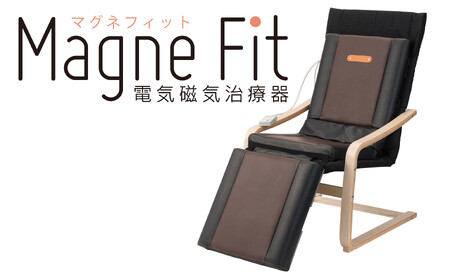 家庭用医療機器マグネフィット（電気磁気治療器）