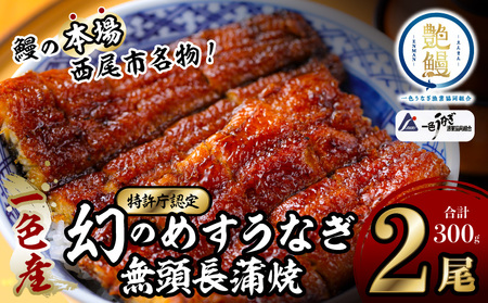 一色産めすうなぎ無頭長蒲焼2尾（300g）・I059-19-1