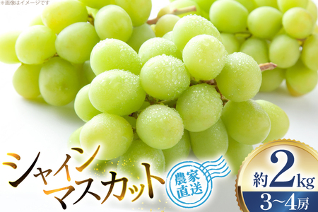 【期間限定発送】 シャインマスカット 3～4房 約2kg [治右衛門果樹園 山形県 高畠町 tk06ays830001]