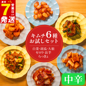 【 本場の味を再現 】 定番 キムチ 6種 詰め合わせセット 中辛 キムチ