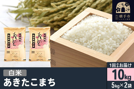 【白米】令和7年産 横手市産 あきたこまち 10kg（5kg×2袋）