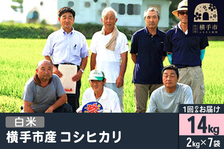 【白米】令和7年産  横手産 コシヒカリ 14kg（2kg×7袋）