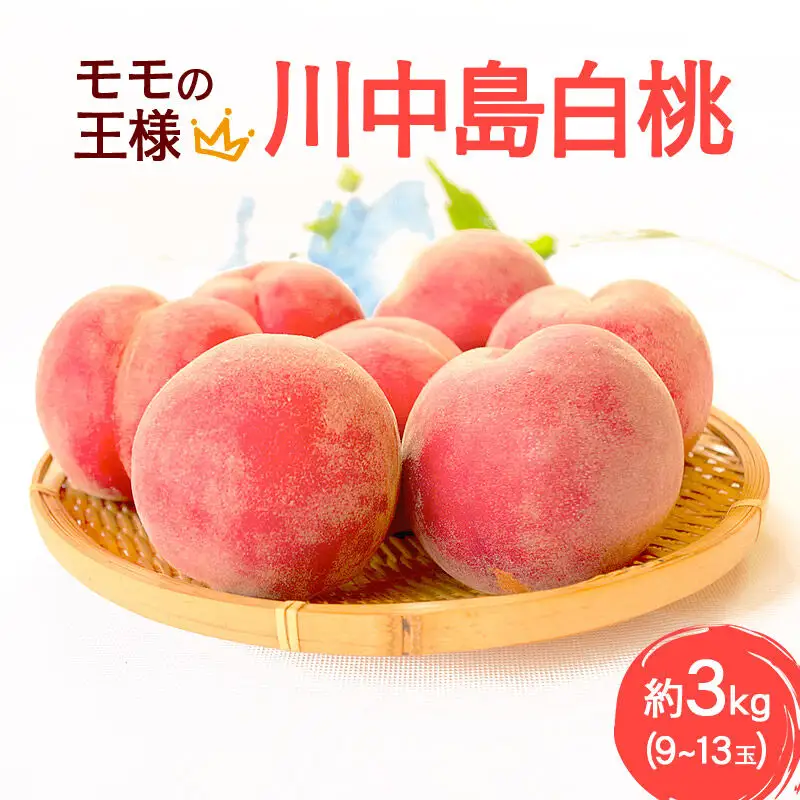 《先行受付！8月中旬より順次発送》モモの王様 川中島白桃 約3kg（9～13玉前後）