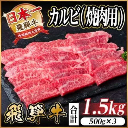 飛騨牛 厳選カルビ(焼肉・BBQ用) 1.5kg(500g×3)　黒毛和牛　小分け　A4～A5等級_肉 焼肉 牛肉 やきにく ヤキニク バーベキュー  肉 飛騨牛 牛肉 うし ビーフ_【配送不可地域：離島】【1543785】