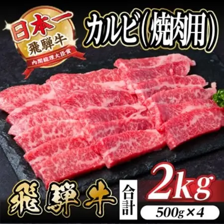 飛騨牛 厳選カルビ(焼肉・BBQ用) 2kg(500g×4)　黒毛和牛　小分け　A4～A5等級_肉 焼肉 牛肉 やきにく ヤキニク バーベキュー  肉 飛騨牛 牛肉 うし ビーフ_【配送不可地域：離島】【1543786】