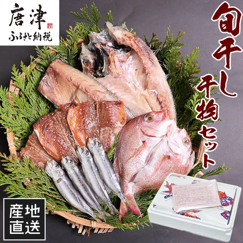 無添加・無着色・手造り 唐津産 『初めての唐津旬の干物5種10尾セット』唐津産真アジ醤油みりん干し、唐津産真サバひもの、唐津産季節の旬の白身魚一夜干し、真イワシ丸干し、トロあじ開き 干物 酒の肴 【ふるなび】