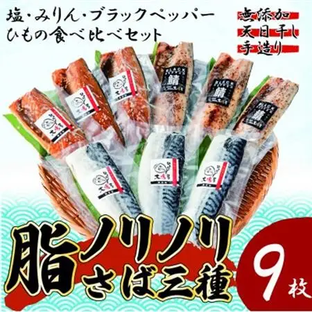 【無添加・天日干し・手造り】脂ノリノリさば三種の食べ比べセット_魚介・海産物  干物 _【配送不可地域：離島】【1539720】