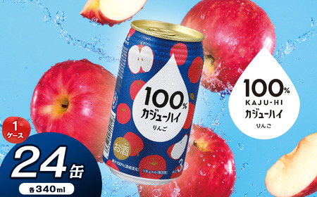 100％カジューハイりんご 340ml × 24本 | 栃木県 下野市