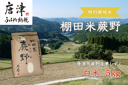 特別栽培棚田米「蕨野」5kg×1袋(合計5kg) 家庭排水が一切入らない自然水で作られたお米 10日に1回精米で新米のような味わい