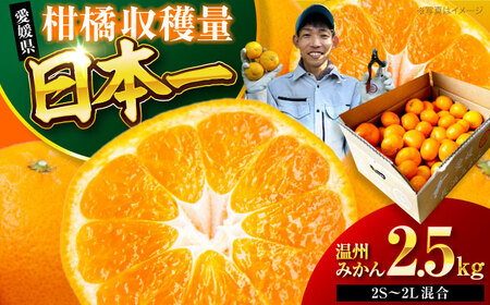 みかん【先行予約】みかん 2.5kg [AGBC004]