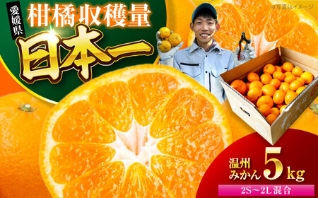 みかん 【先行予約】温州みかん 5kg [AGBC005]