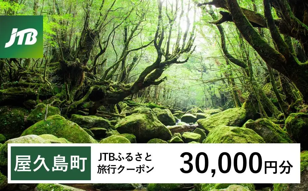 【屋久島町】JTBふるさと旅行クーポン（30,000円分）有効期間3年（Eメール発行）｜予約 宿泊 観光 体験  温泉 ホテル 旅館 チケット 子供 子連れ カップル 家族 店頭 オンライン ネット 電話 屋久島